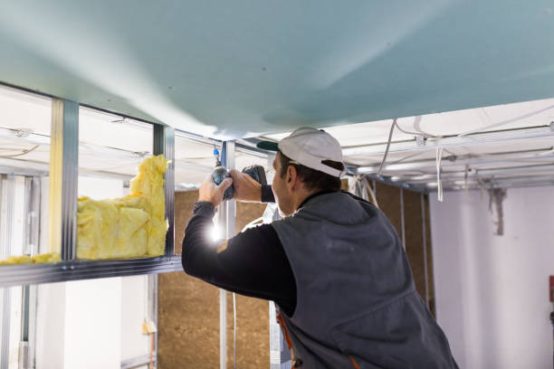 Types of Insulation We Offer in Springtown, TX