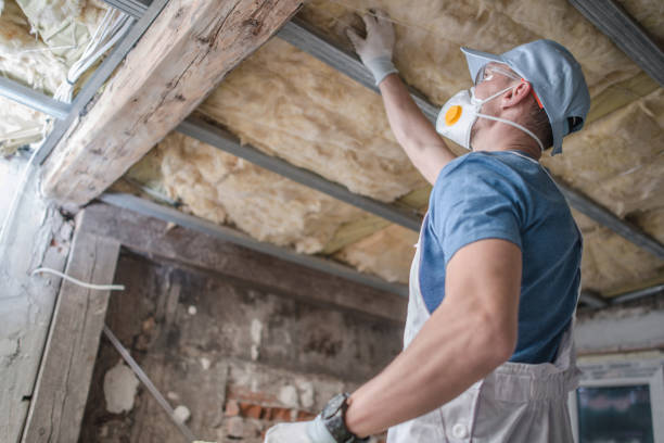 Best DIY Insulation Kits and Guidance in Springtown, TX